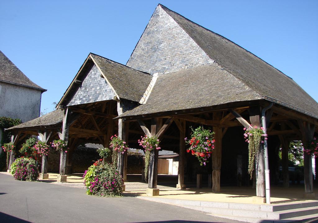 Le Relais de la Calèche Hotel Saint-Denis-dʼAnjou Esterno foto