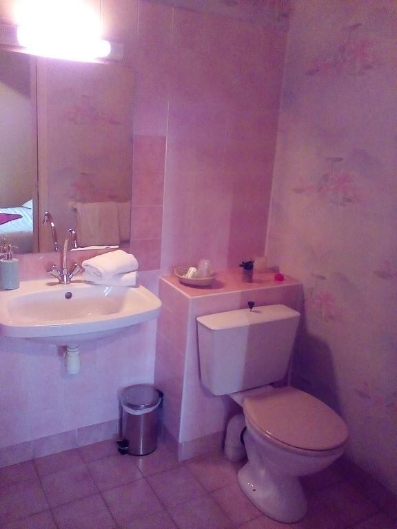 Le Relais de la Calèche Hotel Saint-Denis-dʼAnjou Esterno foto